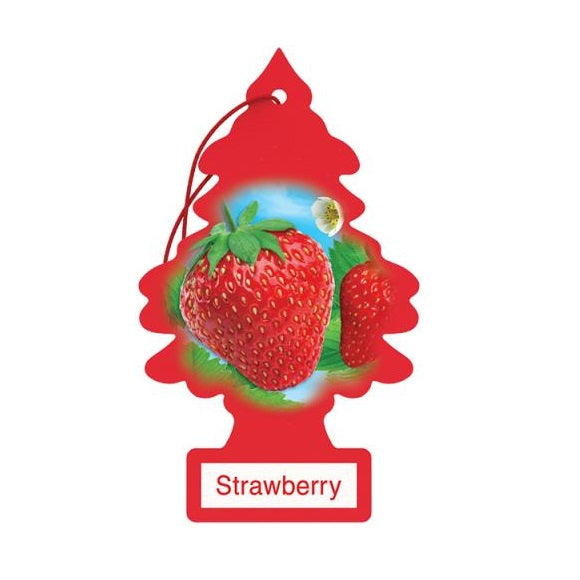 Little Trees Perfume Card Air Freshener for Car & Home - Original (Made in USA)