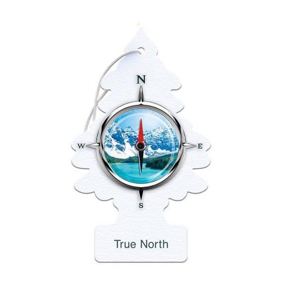 Little Trees Perfume Card Air Freshener for Car & Home - Original (Made in USA)